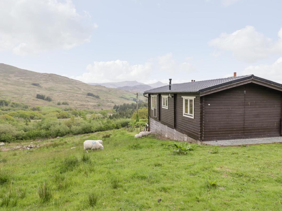 Snowdon Vista Cabin Villa Caernarfon Exterior photo